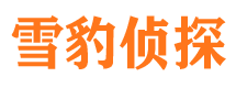 伍家岗婚外情调查取证